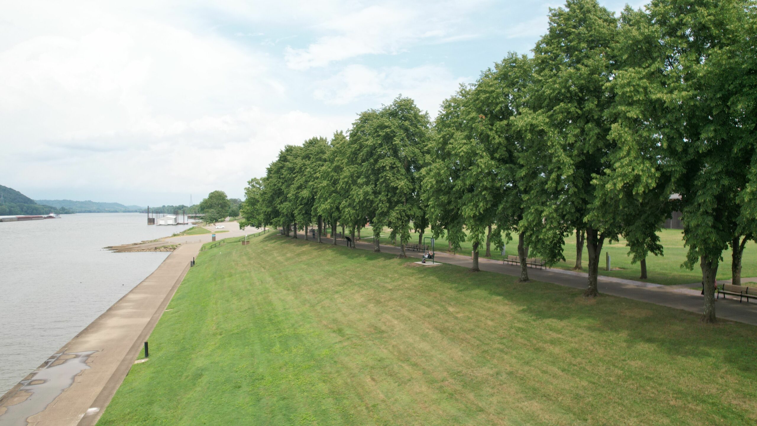 Rows of lush green trees in the park near the lakeshore in Huntington, West Virginia